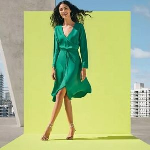 ❌CLOSEOUT❌CUSHNIE Emerald Green Wrap Dress